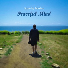 Borrtex - Peaceful Mind