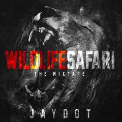 JayDot - We The Baddest