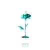 Growth Mp3