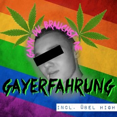 Gayerfahrung