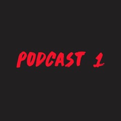 Podcast #1