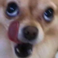 Like A Theif (Ookay vs. Dr.Ozi Hellverse Edit)