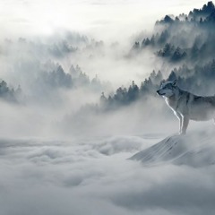 Spirit