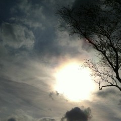 Birds And Fields (Slow Field Set)