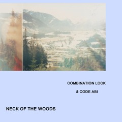 neck of the woods (feat. code abi)