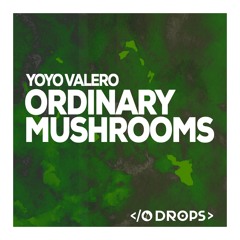 Yoyo Valero - Ordinary People (Original Mix)