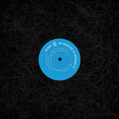 Reform - The Knowledge Of Difference (Original Mix)