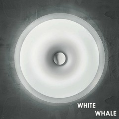 White Whale