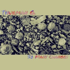 So Many Changes (Thurman G. beat)