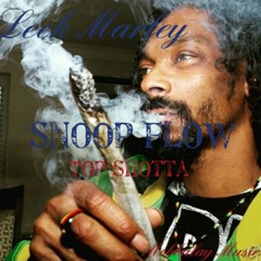 Snoop Flow