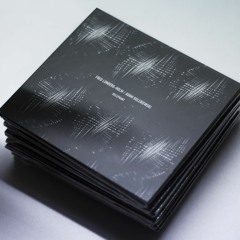 Fred Lonberg-Holm / Adam Golebiewski - Relephant [excerpt]