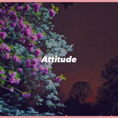 Attitude