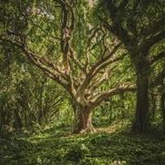 In My Eyes PROD. YSM Beats