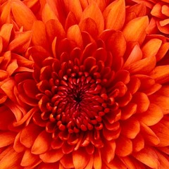 Big Sean Ft. Kanye West & Roscoe Dash - Marvin & Chardonnay -   (Go to Finally Famous Album)