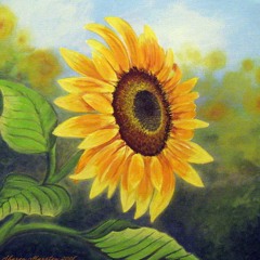 S U N F L O W E R