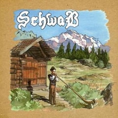 Schwab - What Robert Said To Me (No Balls)