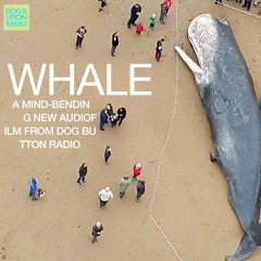 WHALE