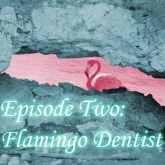 2 - Flamingo Dentist