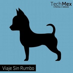 Alan & Passhe - Viaje Sin Rumbo (Original Mix)