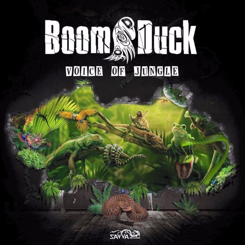 BOOM DUCK - Magic Jungle