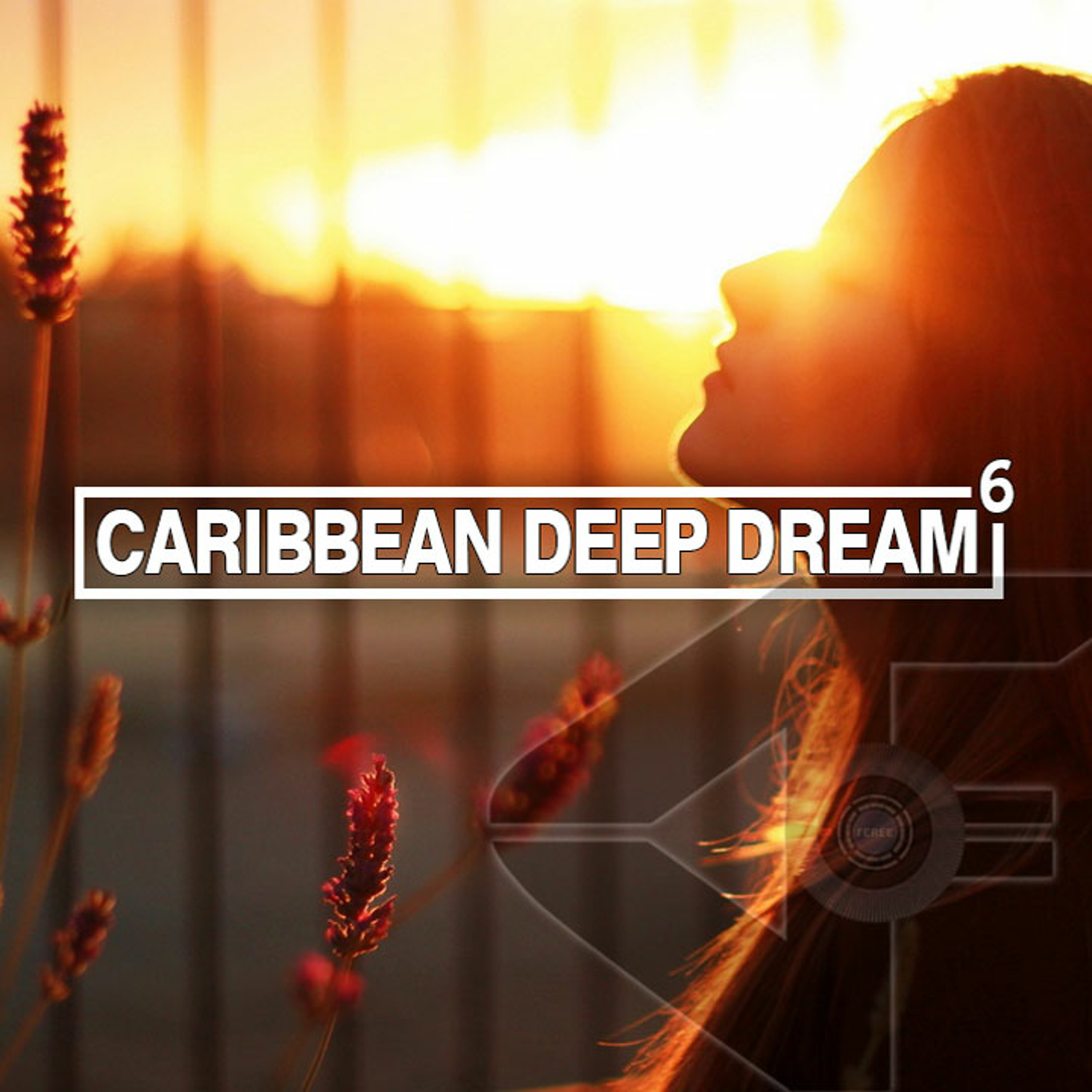 DJ FEREE Official Podcast