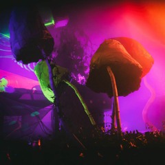 Bunkerfest 28.04 8:00 - Das Ende