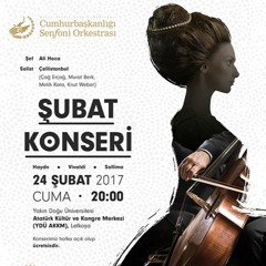 3- Vivaldi - Double Cello Concerto Allegro