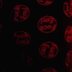 Fuck Em
