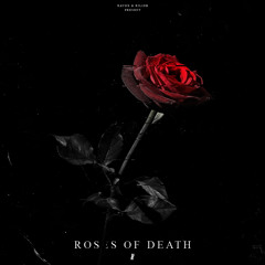 Ravox & Riliob vs Darkerz - Roses of Death (Original Mix)