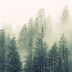 Lentesessie 2017 [live] - Part 1