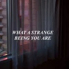 sick of losing soulmates - dodie