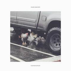 Trummerschlunk - Portico (feat. Lucia Cadotsch)