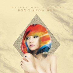 Dillistone & LILI N - Don't Know Why (Original Mix)