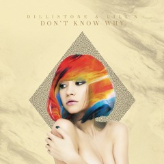Dillistone & LILI N - Don't Know Why (Radio Mix)
