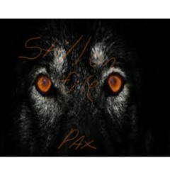 Still On Fire produced by BDM