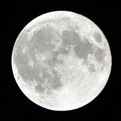 남수림  -  문