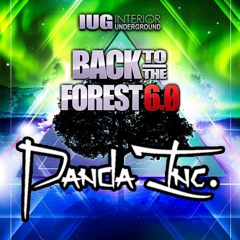 Back To The Forest 6.0