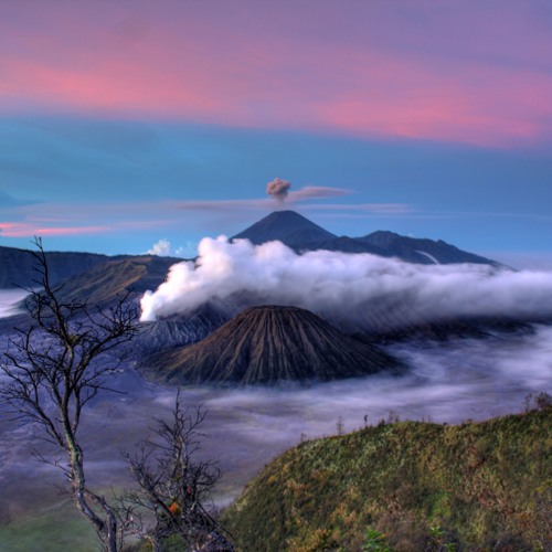 So Dead Yet So Alive (feat. Gunung Bromo)
