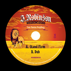 WHODEM014 J.Robinson WhoDemSound Feat Darien Prophecy - Stand Firm 10'' Vinyl OUT NOW