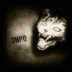 Killer Kitten