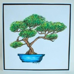 Bonsai