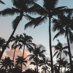 Mouzart Funk The Sun