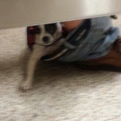 Why Are Your Feet So Dirty???