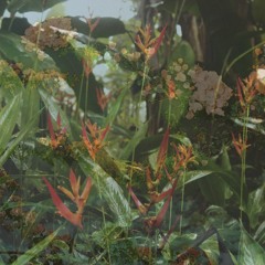 miw @ Lúdico 09.05.17