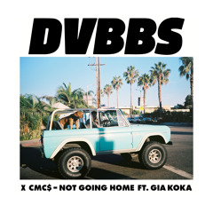 DVBBS - Not Going Home (jimmie + DAVIDKIM Remix)