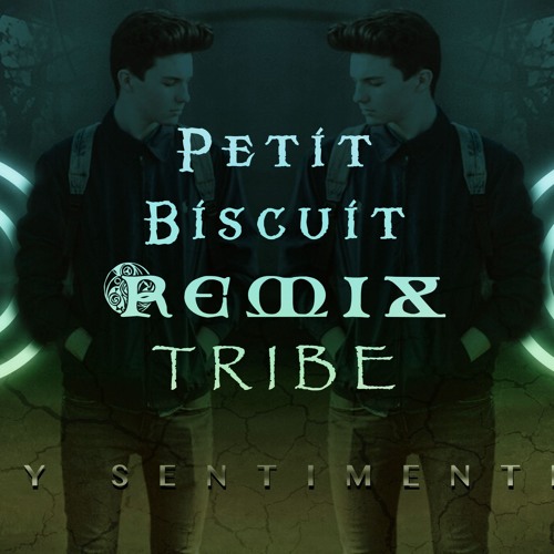 Remix Petit Biscuit Tribe Mental