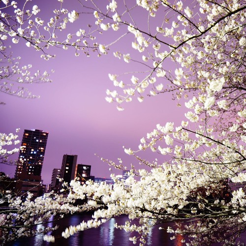 福 ｂｌｉｓｓ 福