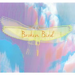 Broken Bird