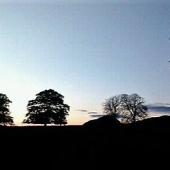 Carbeth And The Dumgoyne Goddess