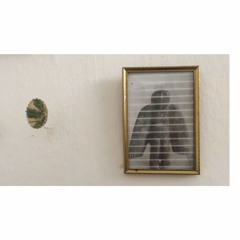 riding the blues (live in munich) enfan\ciso - 5 (end of the song)